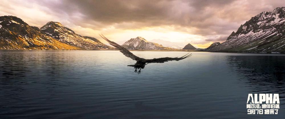 《阿尔法：狼伴归途》明日上映获众咖支持 吴秀波力荐史诗传奇